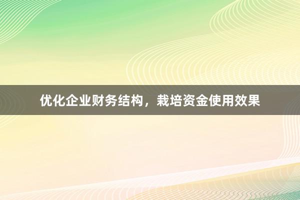 优化企业财务结构，栽培资金使用效果